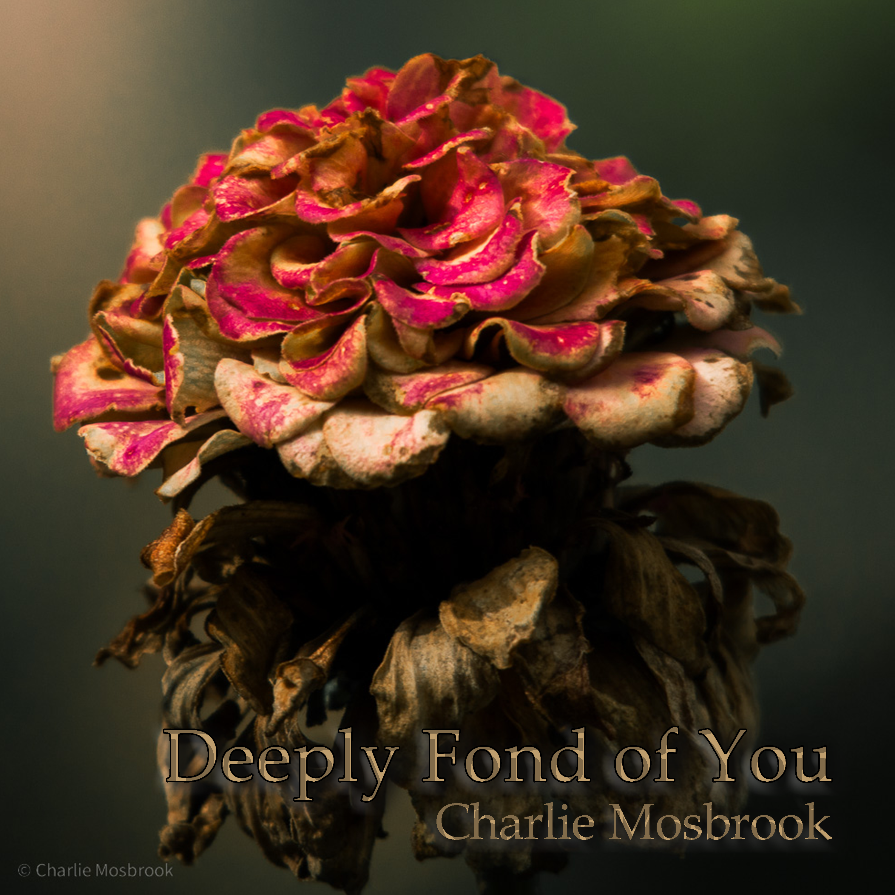 Deeply Fon of you